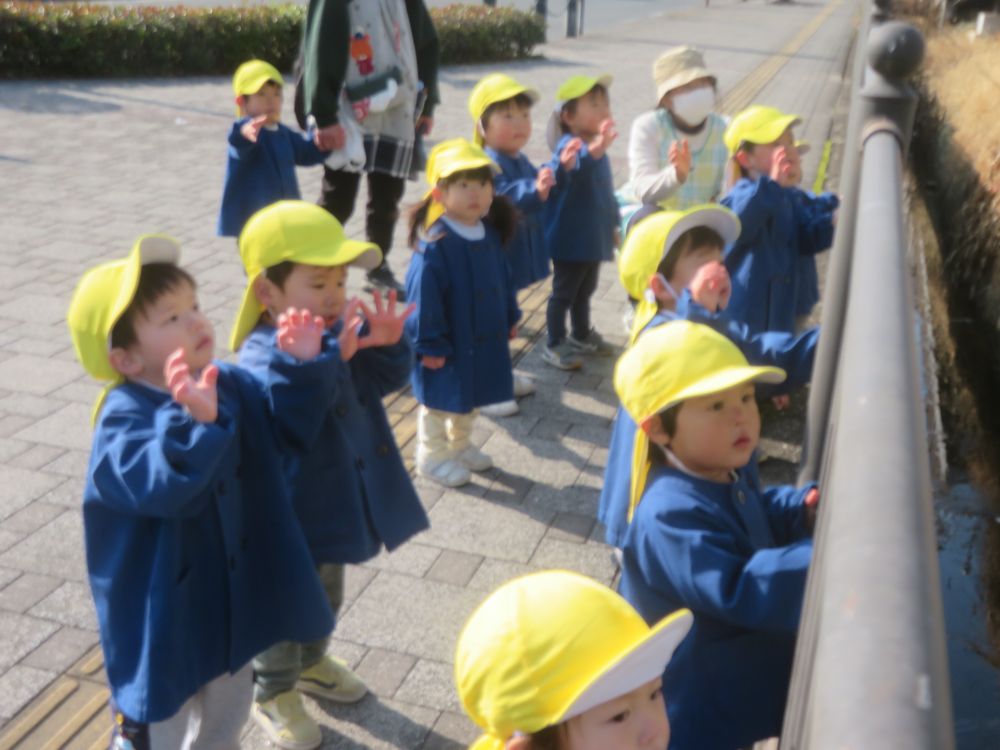 ヒヨコ組さんに聞きました
「お散歩に行くのは公園と電車見に行くのどっちがいい？」
すると満場一致で「電車！！」と返ってきました

お散歩の目的地は東尾道駅で決定！
暖かい日差しの中さっそく散歩に行ってきました


すれ違う清掃車やクレーン車に手をふりながら目的地まで
ゆっくり歩いていきます
発見した事や気付いた事を一つ一つ知らせてくれます
あっという間に駅に到着！
するとすぐに電車がやってきました
通り過ぎる電車に一生懸命手を振ります
