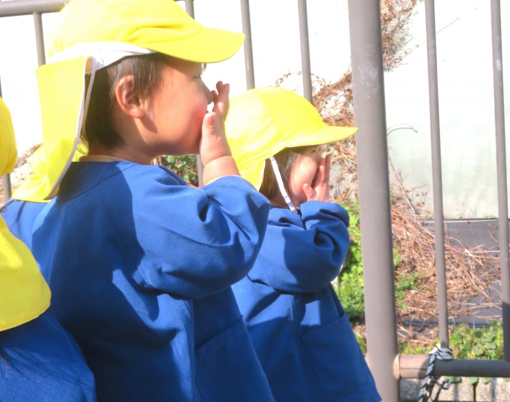 次にやってきたのは貨物列車…
近くで見る貨物列車に感動する2人
いつも一緒にいる友達だからか仕草もシンクロする可愛い姿がありました♡