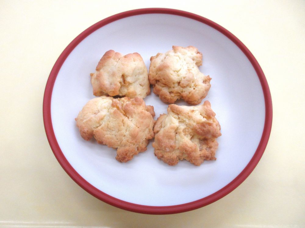 ロックビスケット