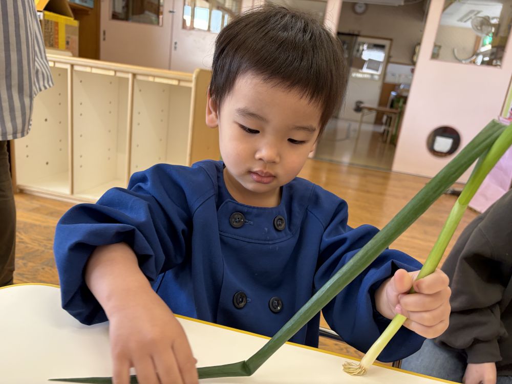 さっそく触ってみると・・・
思っていたのと違ったのか、
不思議そうにさわるKくん。

