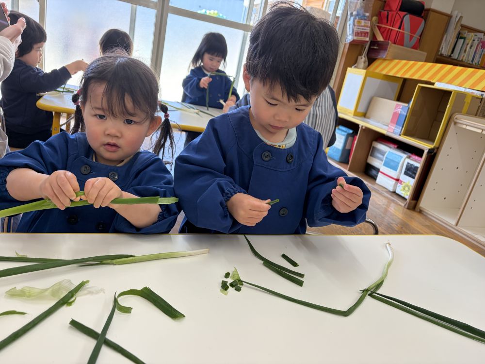 小さく小さくちぎってみたり、裂いてみたり、
みんなそれぞれ『ねぎ・わけぎ』に
触れていました。

