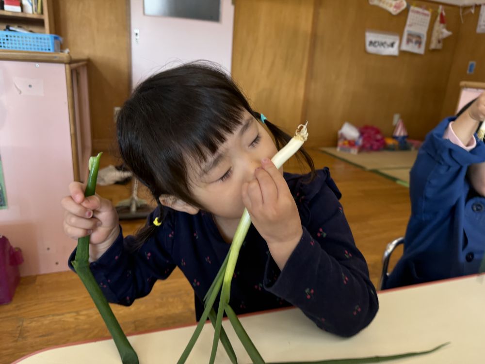 今月の食育は
「ねぎ」と「わけぎ」でした。

これは「ねぎかな？」
「わけぎかな？」と匂いをかいで
見比べて観察をしていました！



