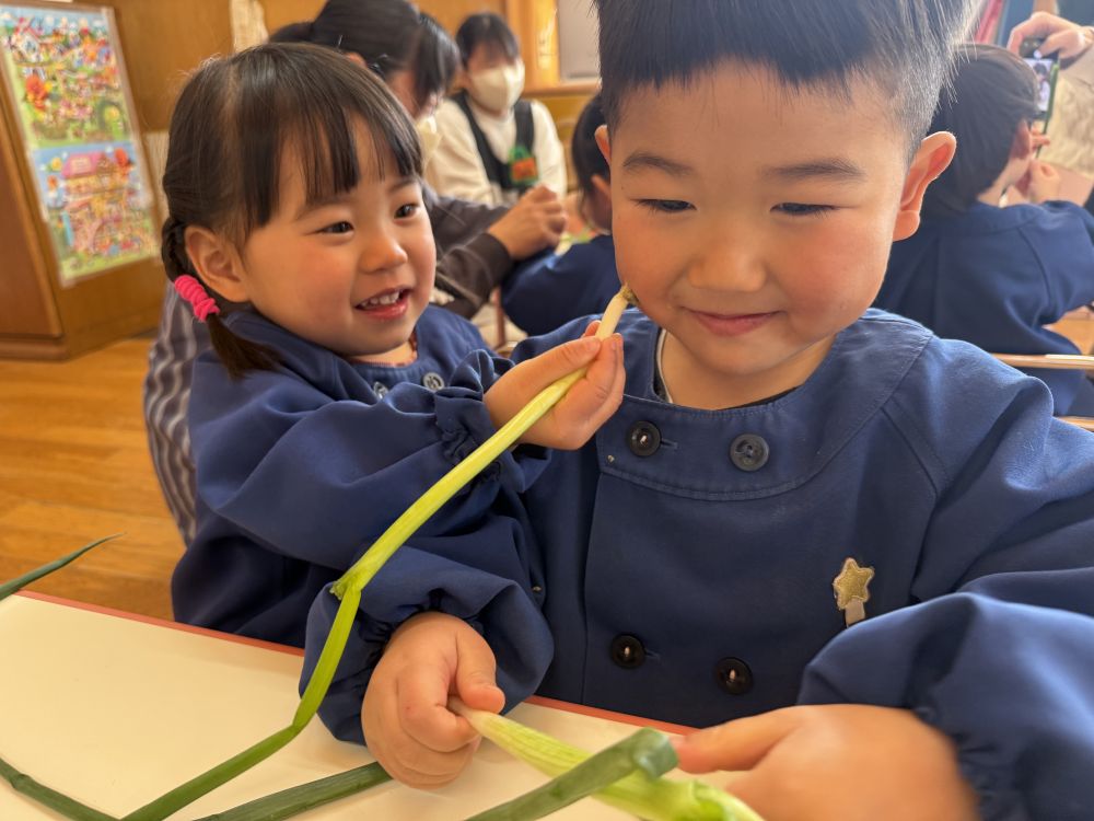 Mちゃんはわけぎの先の根っこを発見！！
隣に座ってるSくんのほっぺにあてると･･･

思わず「くすぐったい！！」
可愛いやりとりがありました💕

