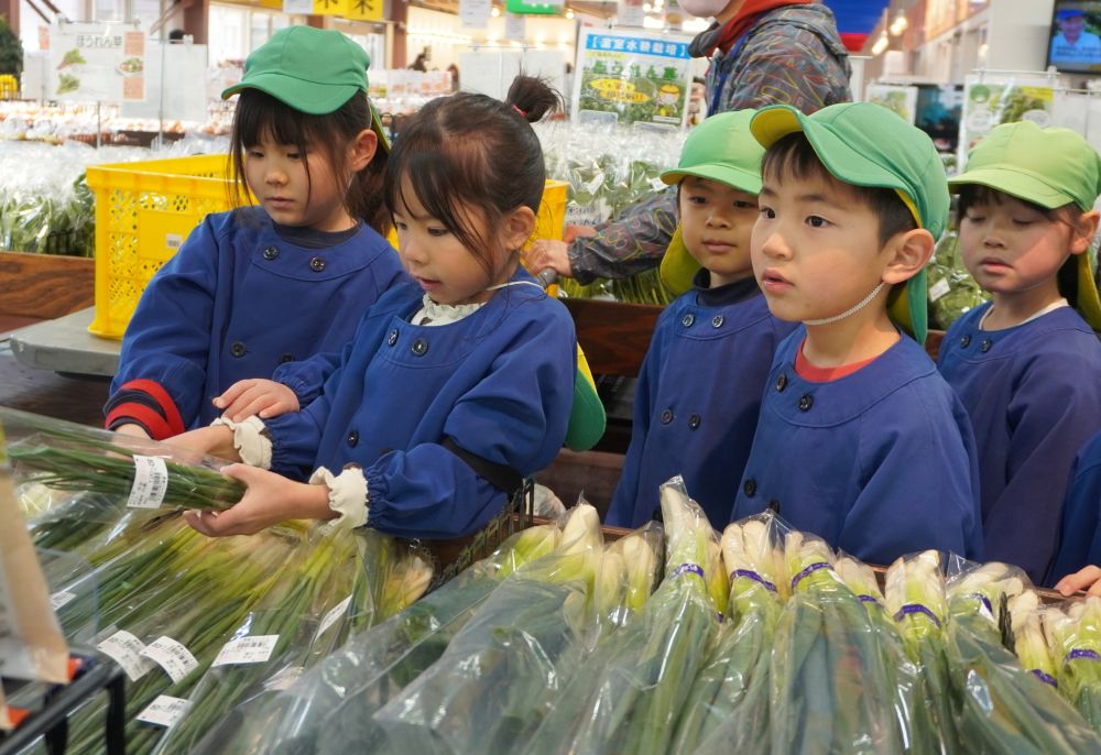 その他にも尾道ならではの柑橘類やいちごなど、果物もたくさん！
「わぁ～、おいしそうなものいっぱいじゃね！」
「買いたいけど、今日はわけぎ買わんといけんけぇね」
と友達と話す姿も見られました♪

珍しい野菜を見つけると足が止まります。
「じー」っとシールを見て、何とか名前を読み取ろうとしている様子。
「これなんだろう」「知りたい」の気持ちが溢れています♡

そしてついに目的の【わけぎ】を発見！
「あ、あったよ！」
「わ、け、ぎって書いてあるよね？」
と看板やシールで確認しています♡