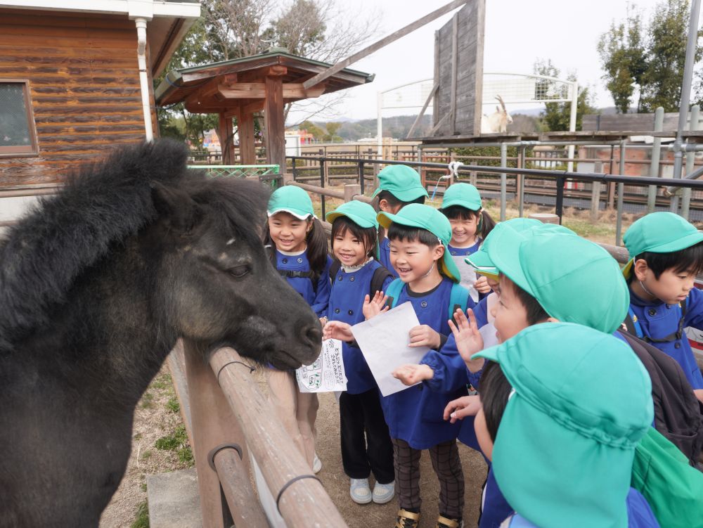 大好きな友達と・・・
ゆめはうすで過ごす毎日も楽しいけど
バスに乗って遠足行ってお弁当を食べて…
最高の思い出ができました♡



「ポニーと友達になった♡」
距離が近くて顔を近づけたり話しかけてみたり・・・