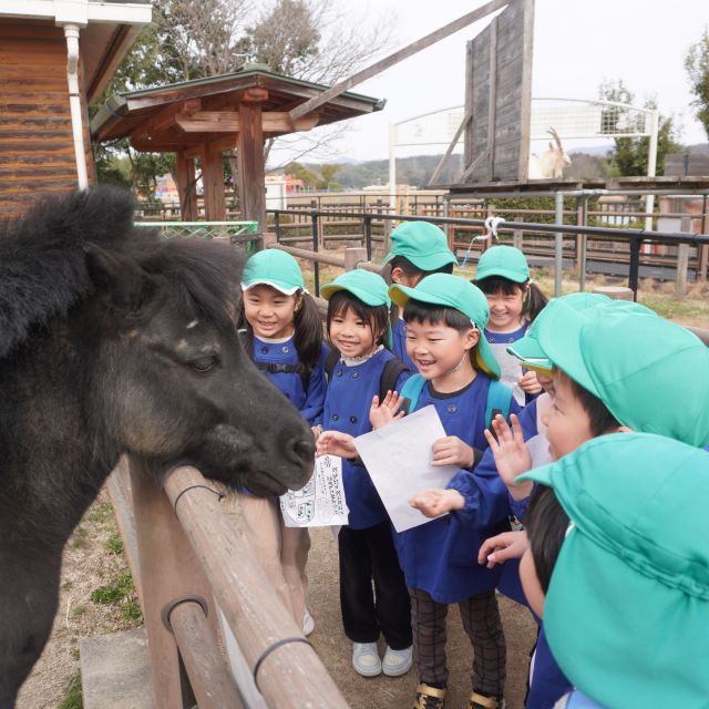 ＊　５歳児　お別れ遠足②　＊