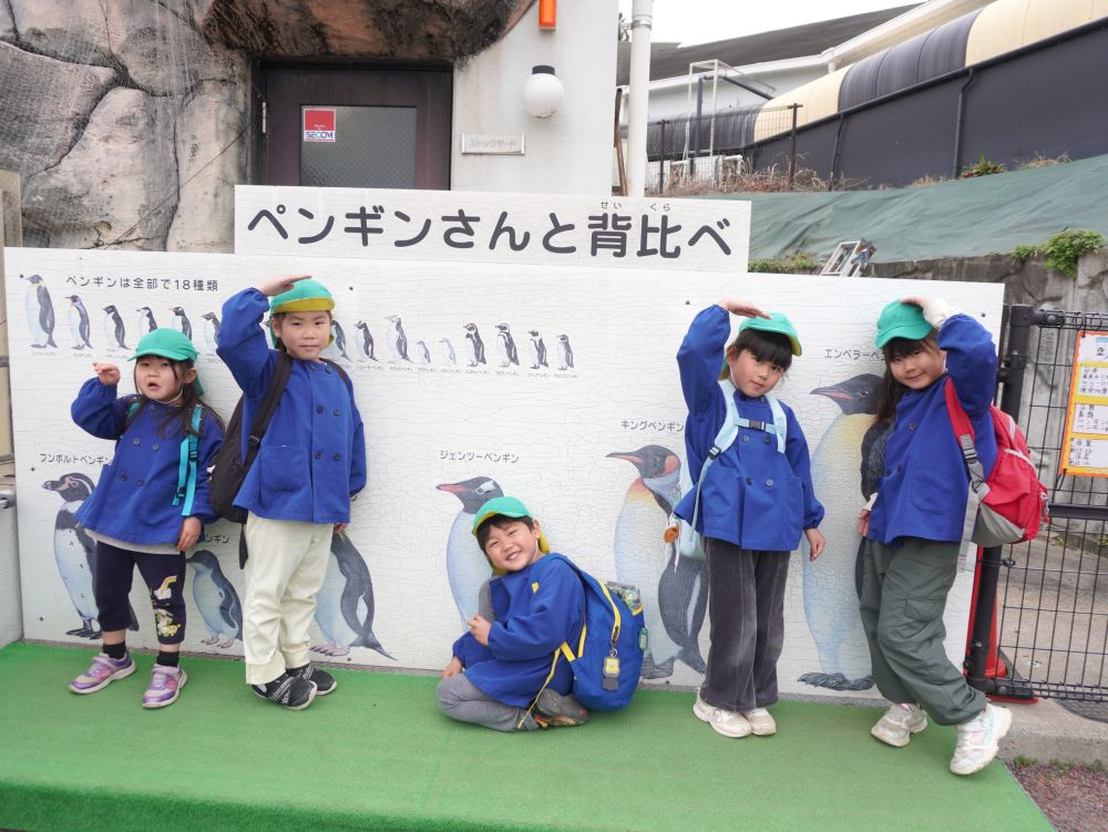 ペンギンさんと背比べ
みんな大きくなったね♡