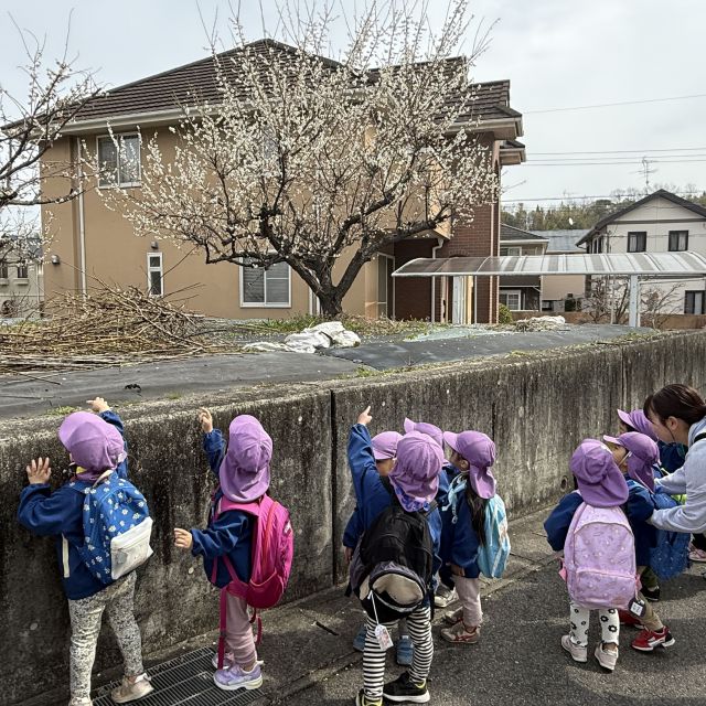 お弁当の日③ ～2歳児 クマ組～