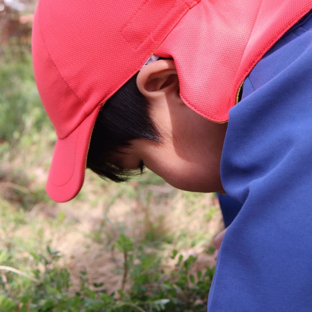 春をさがしに…　＊３歳児＊