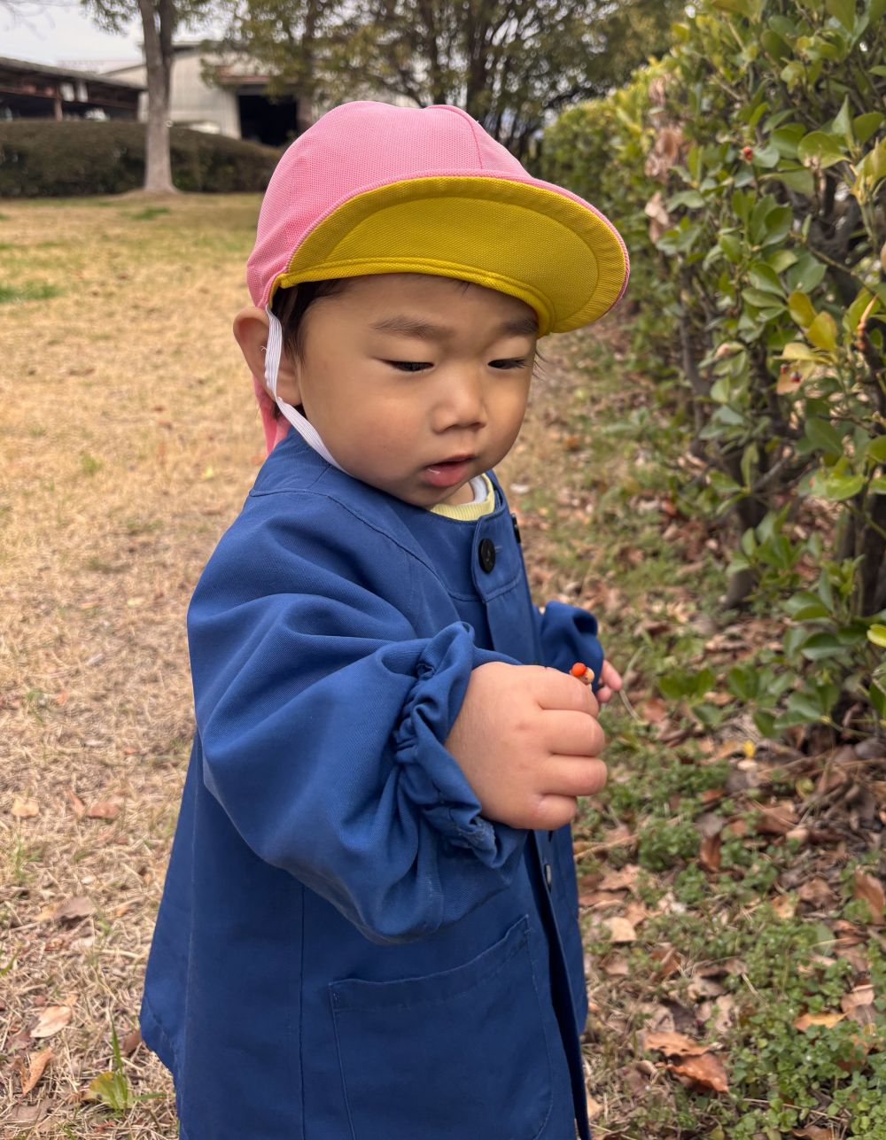 ウサギ組さんも公園で遊んだよ♪

あかい実、み～つけた♪