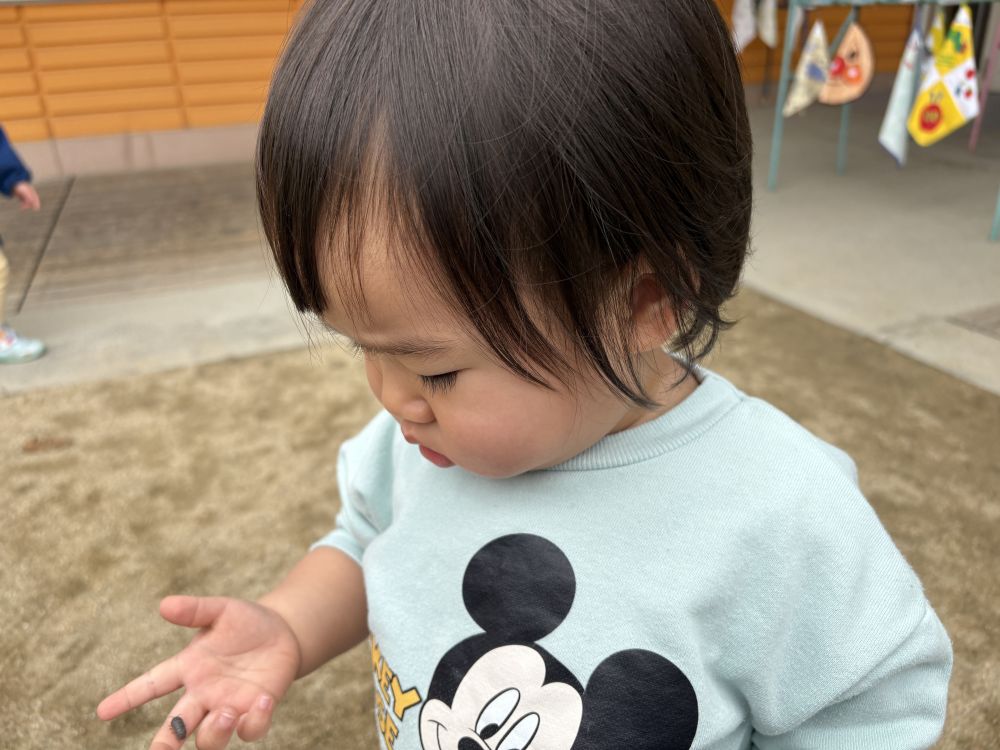 ダンゴムシを見て
興味津々なNちゃん
手のひらで歩いているのを
観察してました～