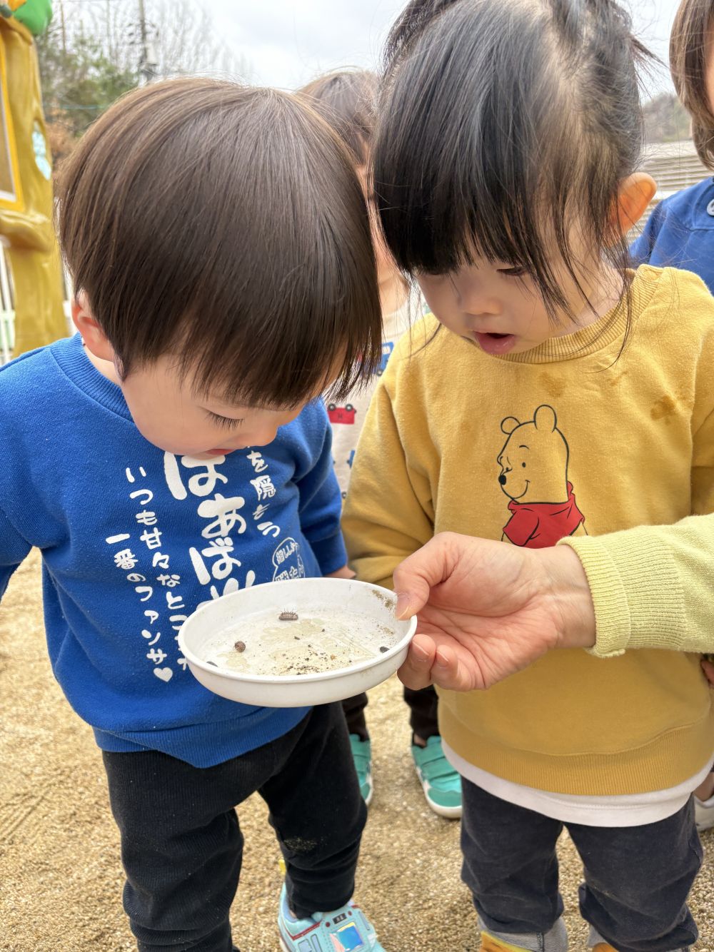 とっても真剣に観察中～
