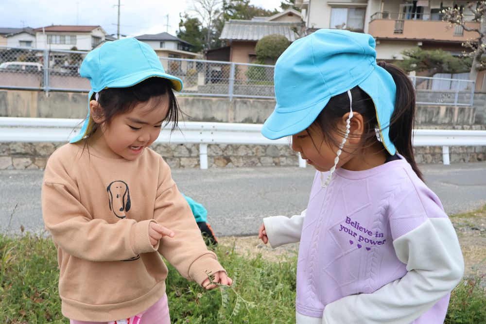 「きゃーー！Ｒちゃん見て！
めっちゃついとんじゃけど！」
「ほんまじゃ！え！ここも？」
夢中になって気付かなかったみたい🙂‍↕️♡

テントウムシの成虫も幼虫も…
ご飯であるアブラムシも
捕まえることが出来ました🐛🎶

少しずつ気温が高くなって、生き物も活動開始！！、
草花や虫などとの触れ合いや季節を感じ、
みんなの興味関心がどんどん湧いてきそうです🤍
