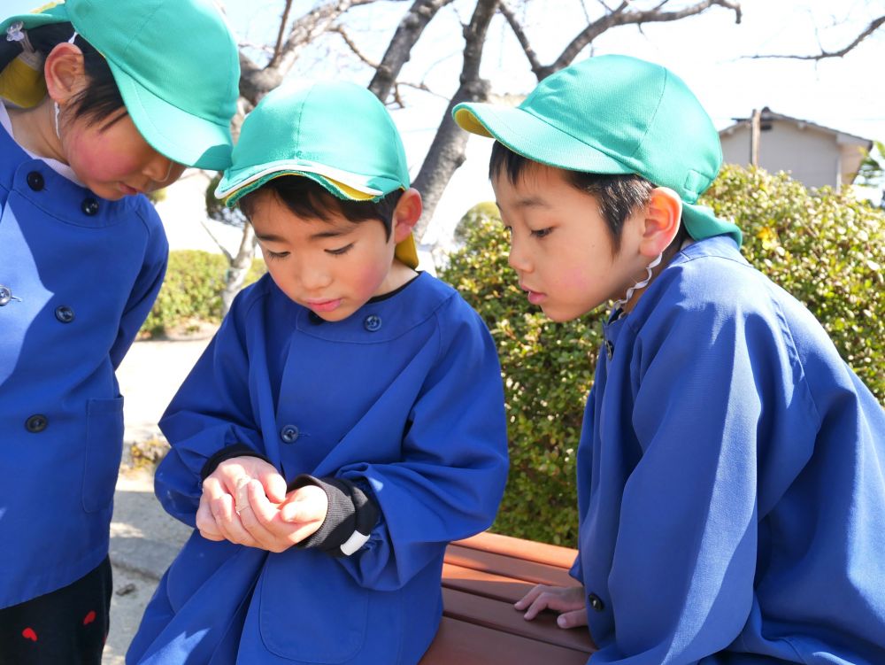 もうすぐ卒園を迎えるキリン組さん
きょうはみんなで散歩♪
みんなと行ける散歩はあと何回かな～？


さすが！！虫博士のSくんは
早速テントウムシ🐞を発見💡
「見せて～」　と集まる友達