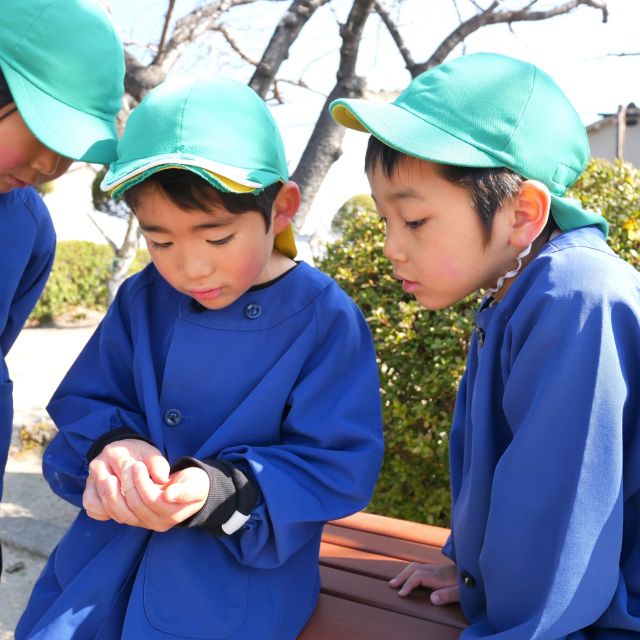 春みつけ🐞　＊５歳児＊