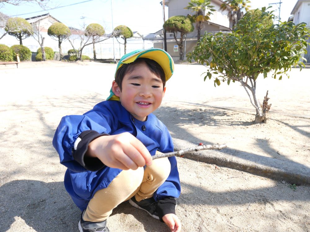 木の枝を持ってきて
木を歩いたり、花をあげたり
ジーっと観察を楽しんでいました♡