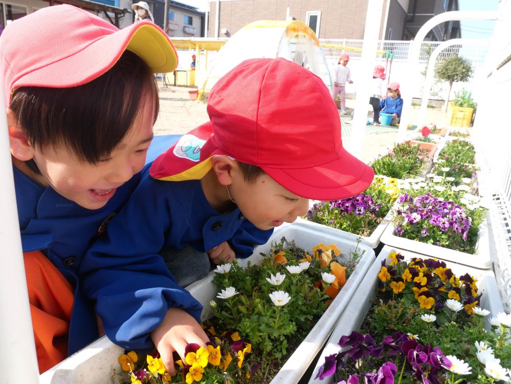 『あったかいね～♡』
『いい匂いがするね！！』
春の訪れを感じているリス組さん


『みてみてー！！虫がおるじゃん』
虫が大好きなHくんたち・・・
冬眠していた虫たちの久しぶりの登場に大喜び♡