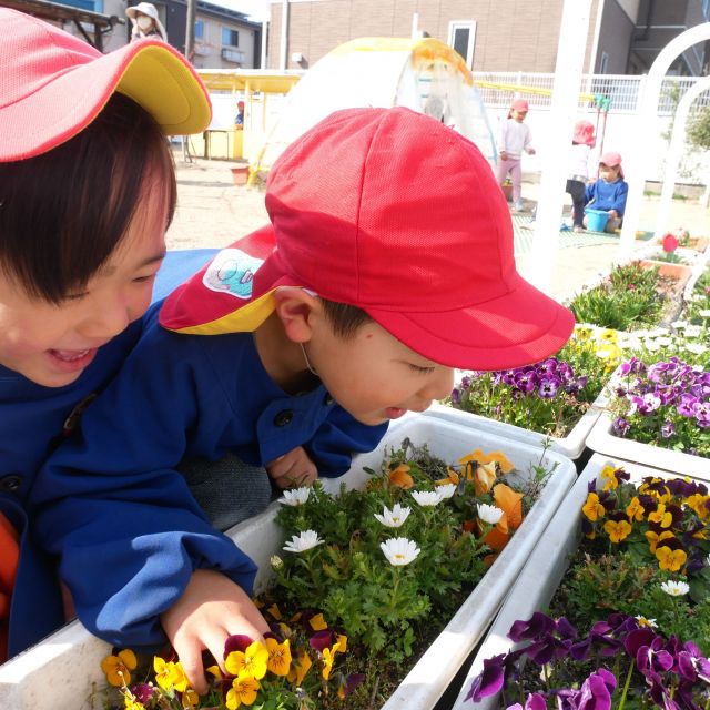 ＊　３歳児　春がきた①　＊