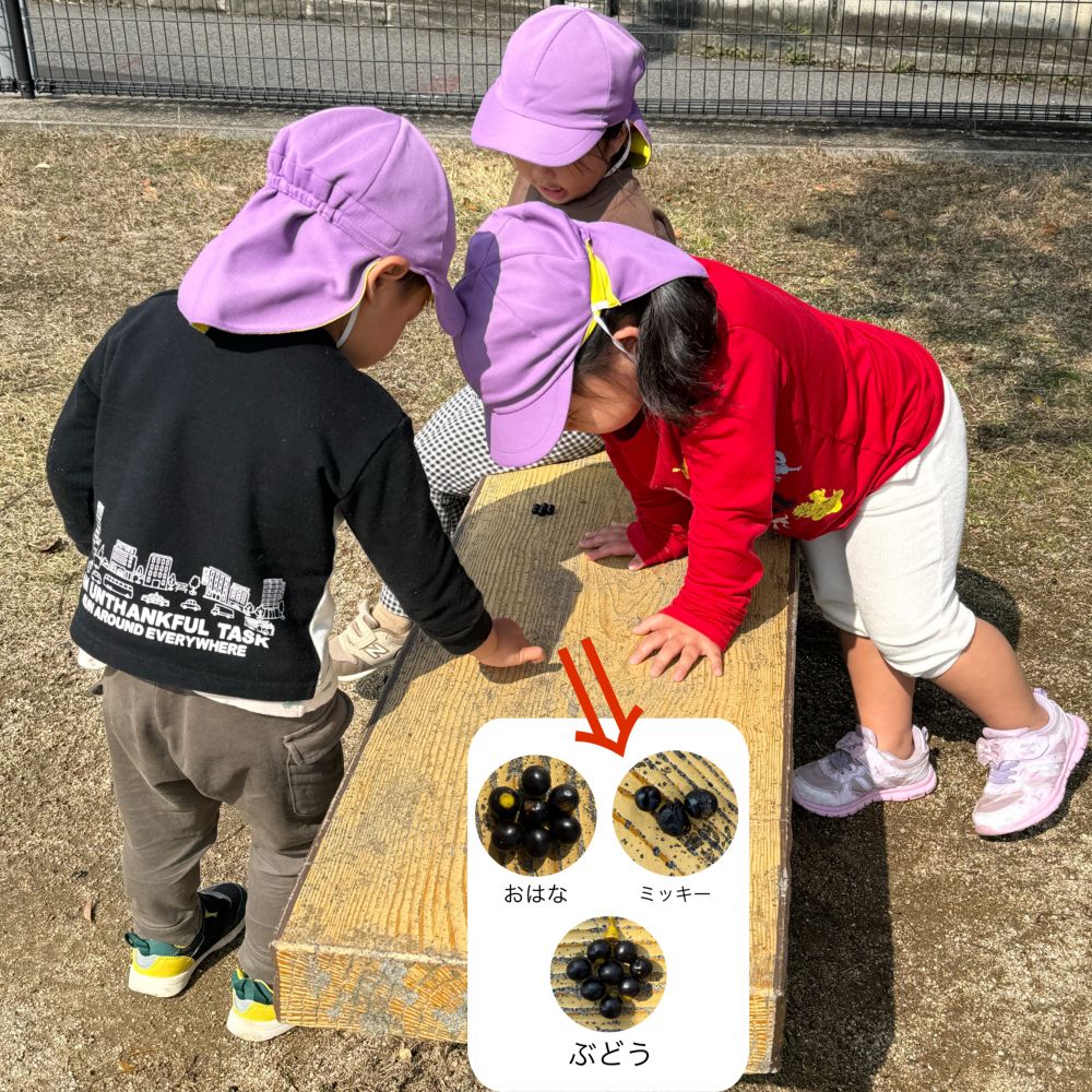 前に来た時は、この木の実を使って、
数を数えたり、お料理を作ったり…

今日はまた違った遊び方☝️
形を作って遊んでいました✨️

お花…ミッキー…ぶどう🍇

色んな遊び方を考えられるようになりました☺️