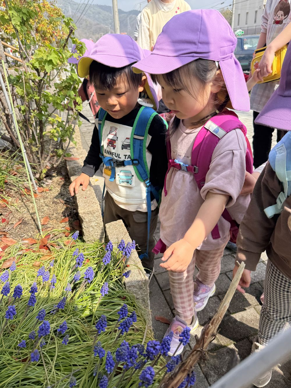 今日は、公園から広場まではしごDay✨️
たくさんの距離を歩けるようになりました♪

歩いている途中で、
とってもキレイな【ムスカリ】を発見🪻
春だね～☺️