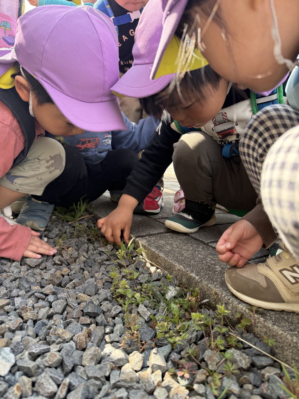 また歩いていると…
｢せんせー！てんとうむしおる！！｣と、Iくん。

地面の石の間にいたてんとうむし🐞
とっても小さかったのに、
よく見つけたね～👀
大人の目線では気づけなかった場所。