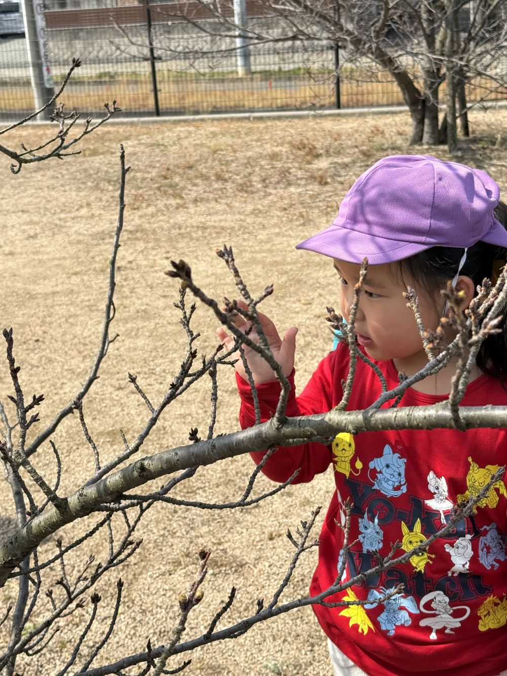 広場につくと…

クマ組さんになって、初めて散歩に来た4月。
桜が咲いていたけど…

｢まださくらのあかちゃんだった～😢｣と、Rちゃん。
ちょっとだけ早かったね。
みんなが1つ大きいクラスになった頃には、
咲いているかな～🌸