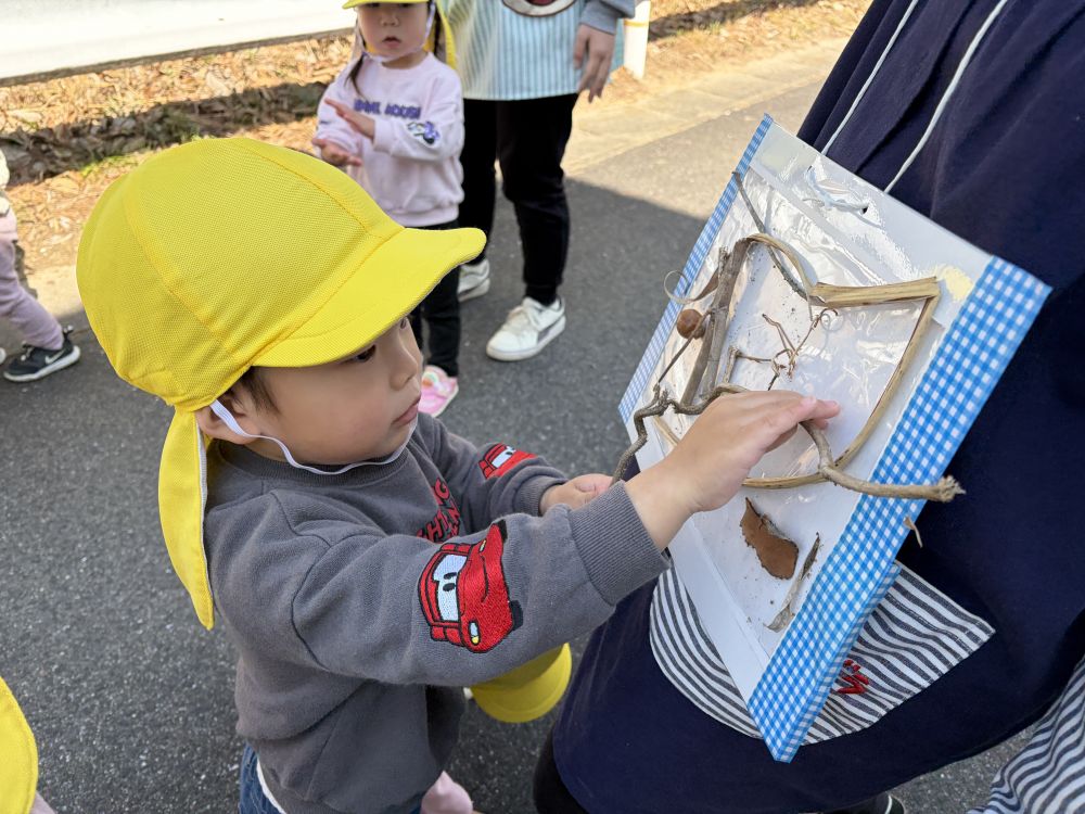 散歩をしていると、いろいろなものを発見！
大人の視線だと見逃してしまう小さなものも、
子どもたちは見つけて手を伸ばしています。
小枝だって宝物・・・
どんどん増えてきましたよ。
