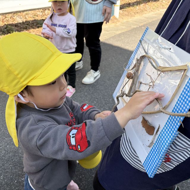 お散歩に行ったよ②　～１歳児　ヒヨコ組～