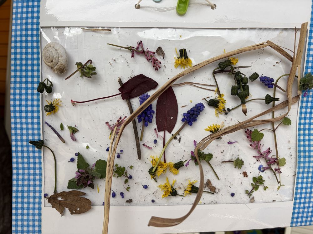 こんなにたくさん集まりました。
【いいもの探し】にまた行こうね😁