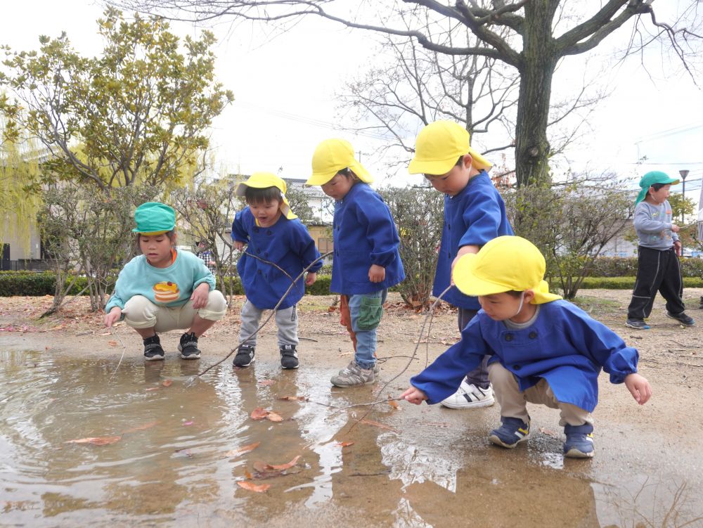 遊具がなくても
身体を動かしたり自然物を使ったりして
たくさん楽しめるゆめっ子♡



魅力がいっぱいの大きな水たまり！
落ち葉を浮かべて魚釣りをしてみました♡
キリン組から遊びを教わるヒヨコ組さん♡