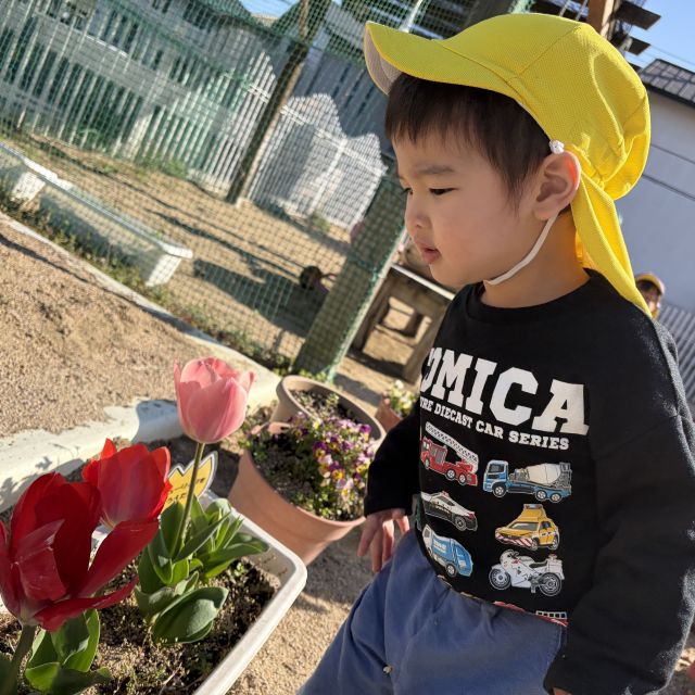 チューリップ　～１歳児　ヒヨコ組～