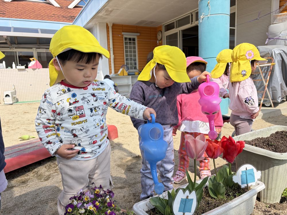 水やりもみんなでするよ！

水がこぼれないようにそーっと運んで
水やりをしました。