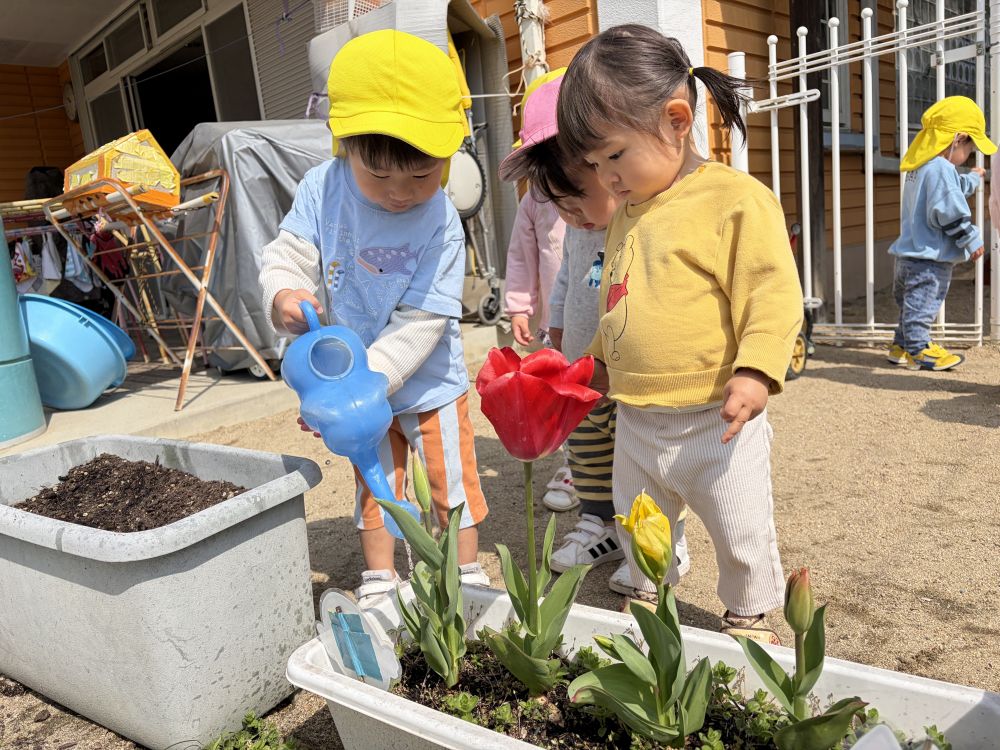 まだ咲いてないチューリップも・・・
次は何色が咲くかな？？
楽しみだね♡