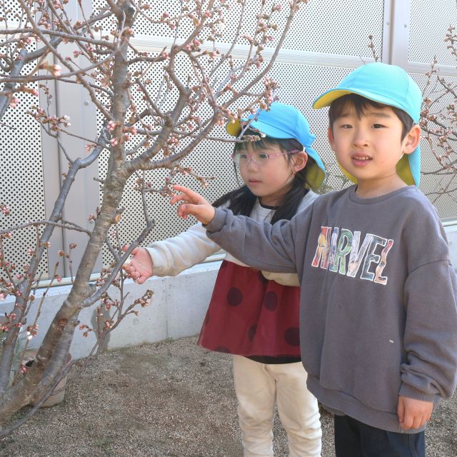 ＊　4歳児　春の訪れ　＊