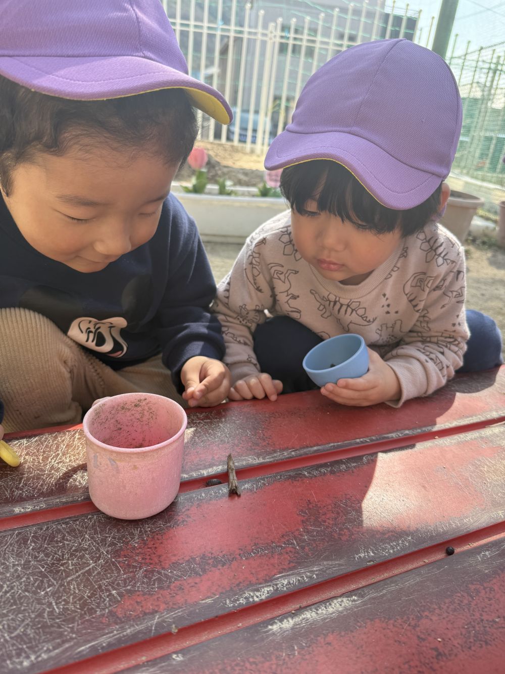 だんごむしも見つけたよ！

だんごむしレースしよう！
Sくん、見つけてきた木の枝をトンネルに見立てて…

がんばれがんばれー🎌