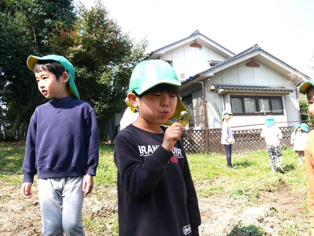 たんぽぽ、わたげ、チョウチョに
つくし、テントウムシ🐞も！！
たくさん春見つけもしたね♡

みんなで　「せーの、フー♡」
