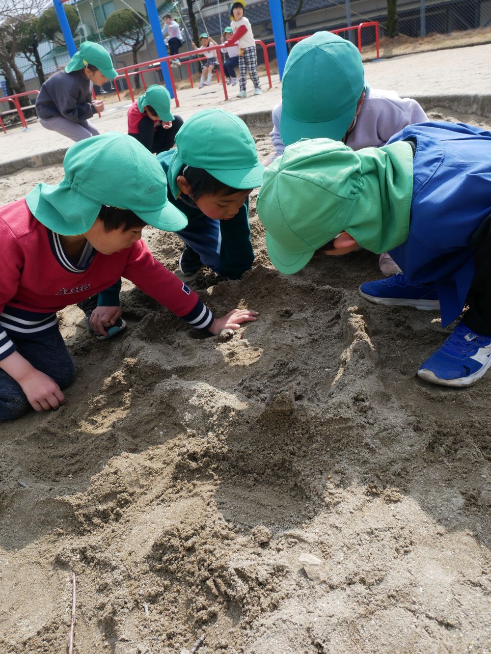 そしてえんぴつ公園の桜も🌸咲いて
「わー！！いっぱい♡キレイ！！」
みんなで桜も見れました♪

男の子たちはテントウムシの遊び場作り…
４月の頃もダンゴムシやテントウムシの
家や遊ぶ場所を作って遊んでいたみんな
進級したばかりの事を思い出しました♡