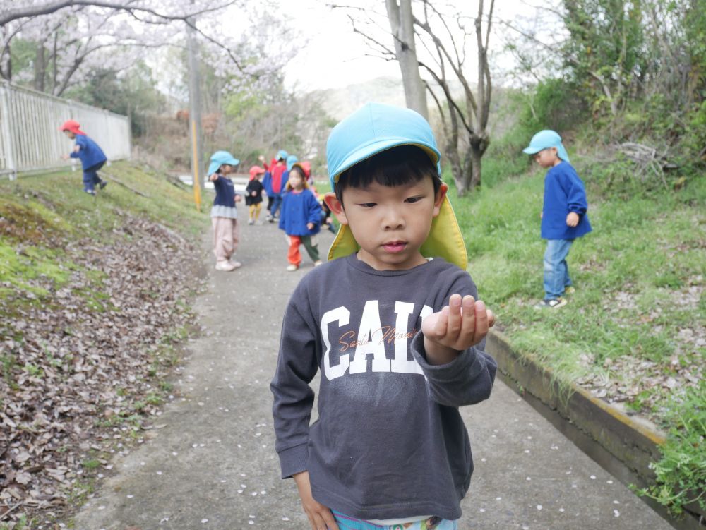 「はやむし！！」　「ダンゴムシ」
自分で捕まえた虫を報告してくれるIくん
逃げられては捕まえて…必死です♡

バッタや幼虫も見つけました🐛
明日からもたくさん散歩に出かけ
春見つけを楽しみたいと思います♪