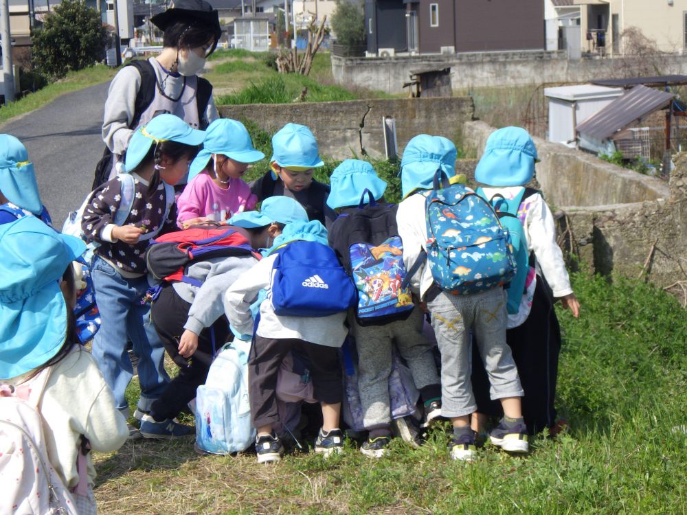 「カタツムリおったーーーー！！」
「どこどこ？」
いきものを見つけると
みんな見たくて大集合♡