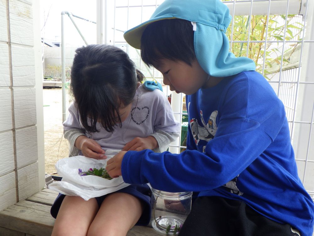 園に帰ると、、、
見つけたてんとう虫を確認！！
「どこにおる？」
「おった！！１、２、３、、３匹！！」
虫に興味も持って
自然と数にも興味が、、、♡