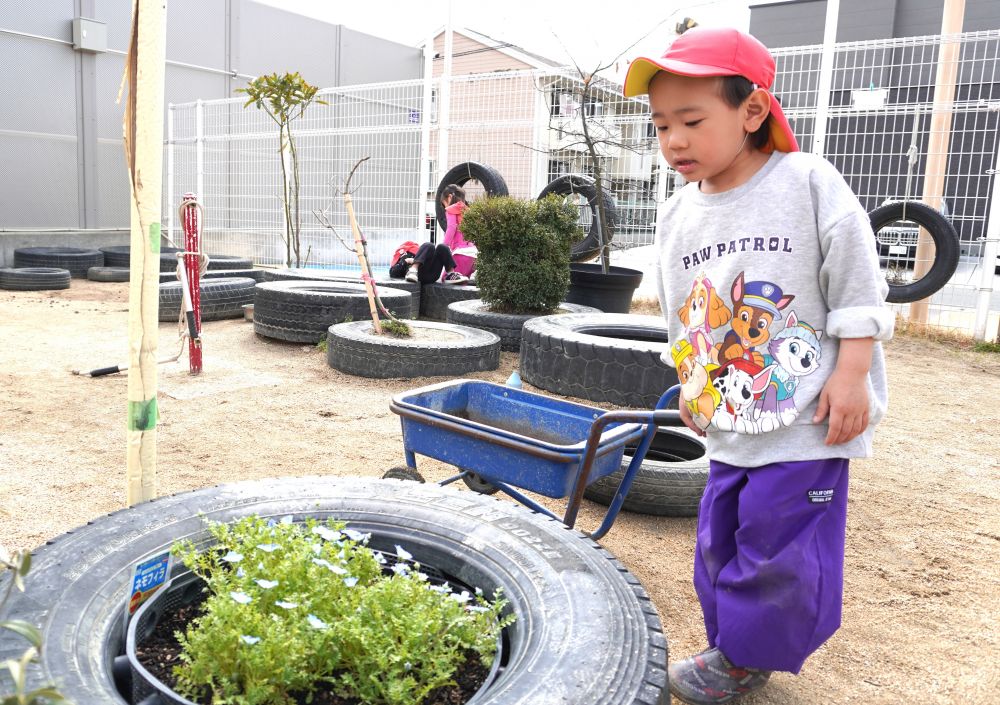 園庭でごちそう作りの食材集め中に気になったのは・・・
「この花可愛い♡名前なあに？」
見て楽しむだけでなく名前にも興味を持つHくん！
春に咲くお花はまだまだたくさんあることを知りました♡
