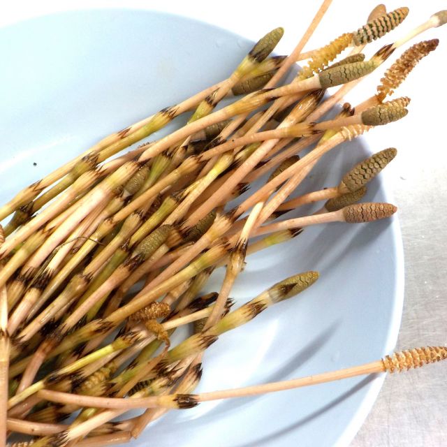 ＊　給食時間の様子　（門田認定こども園）　＊