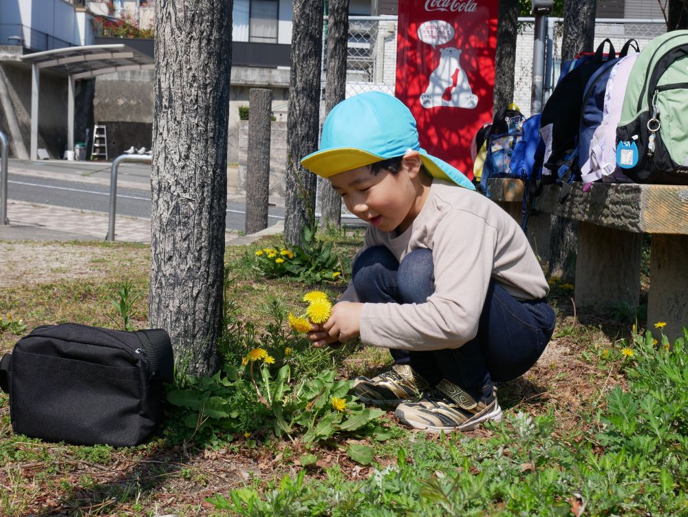 「たんぽぽいっぱい♡」
とたんぽぽやムスカリを集めるKくん😊
嬉しそうに…何を考えていたのかな？♡