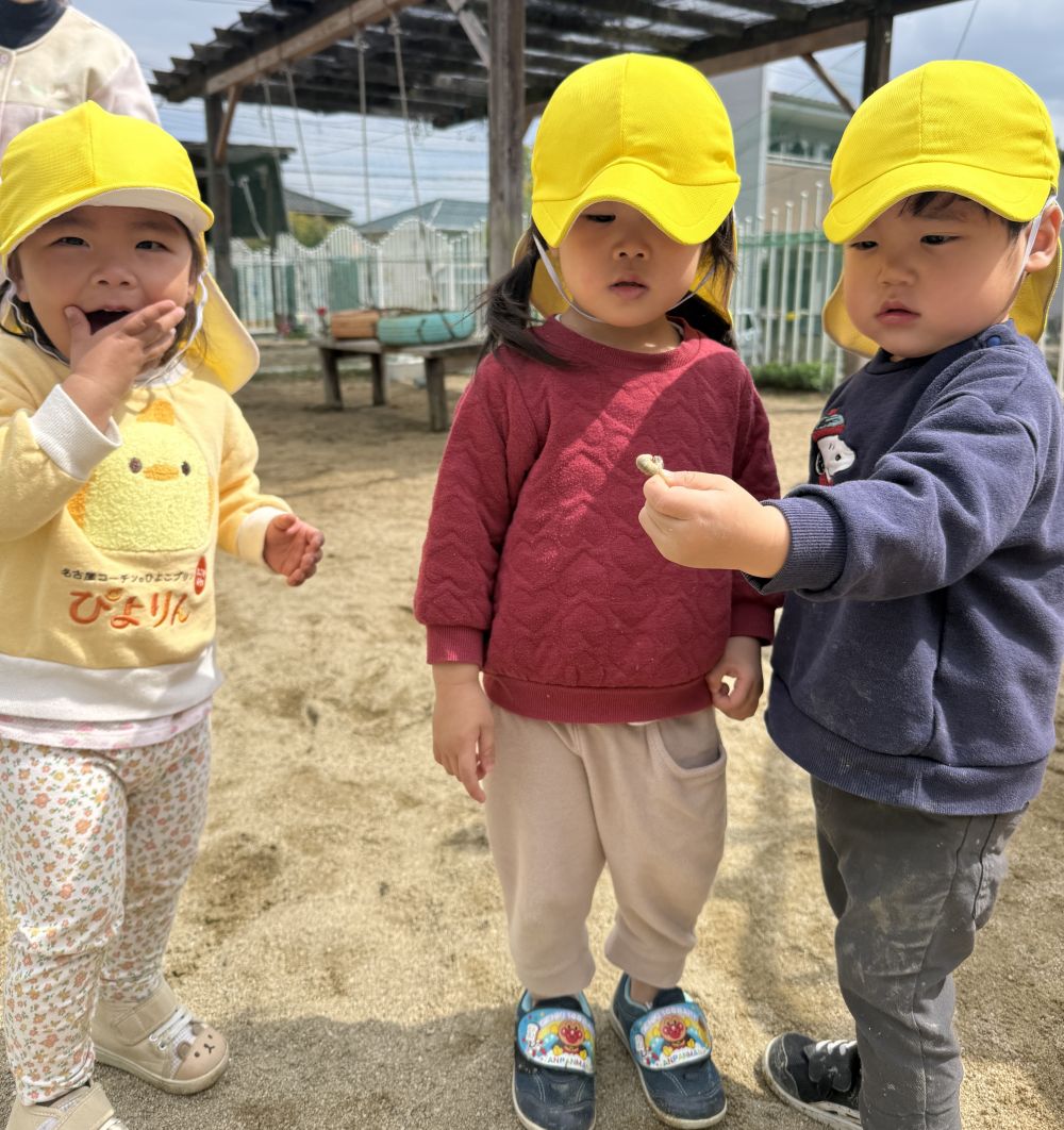 ドキドキワクワクのクマ組さんが、
スタートしました🐻‍💕

園庭では、虫探しに興味津々🔎

かなぶんの幼虫みーつけた！！
