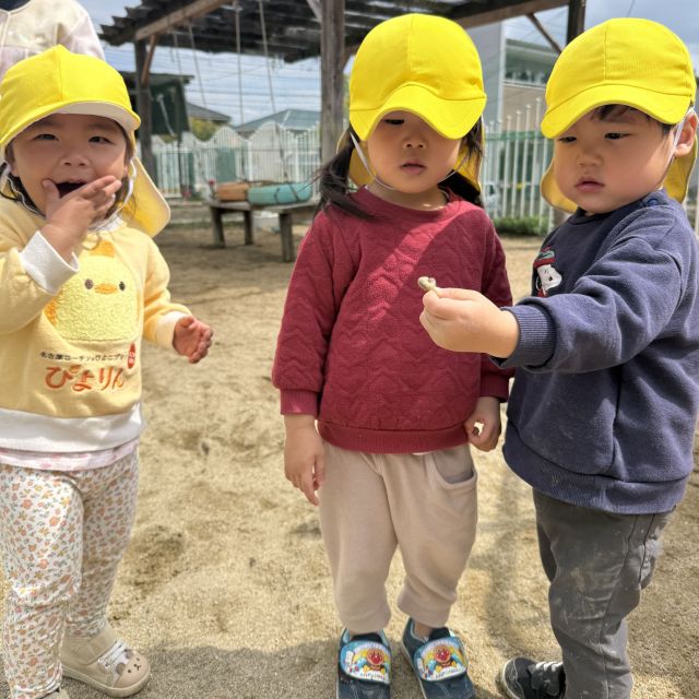 虫大好き🐞　 ～2歳児 クマ組～