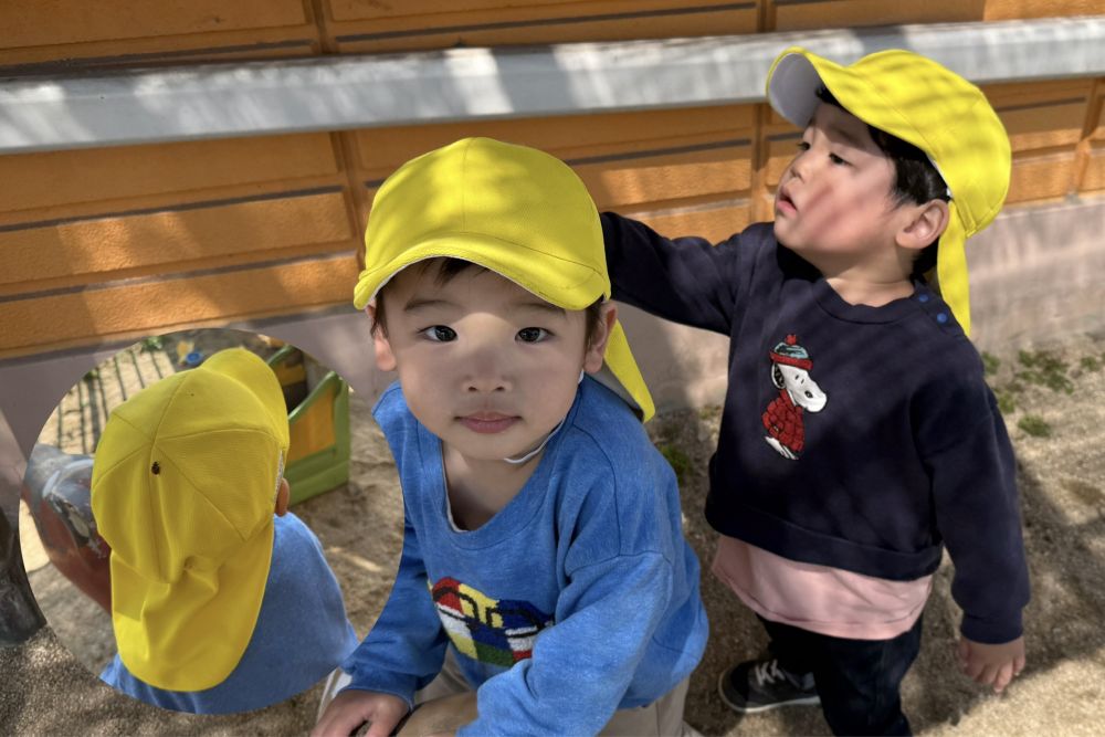 Yくんは、
｢ここ！ここ！｣と、友達の帽子を、
指さして教えてくれました。

そこには…
てんとうむしがとまっていました🐞

みんなの帽子は、【きいろ】
きっとお花に見えたのかな～🌼

これから色んな虫たちが顔を出してくれるはず！！
色んな虫を見つけようね😄