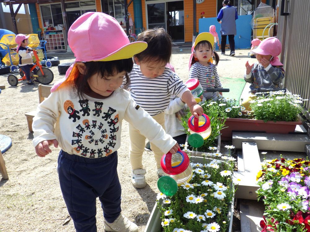 ♪さいた～さいた～チューリップのはなが～
な～らんだ な～らんだ あか しろ きいろ～♪と
歌をうたいながらジョウロで水をあげるMちゃんとRちゃん
園庭の花も喜んでいます♡

これからみんなでいっぱい遊ぼうね♪
