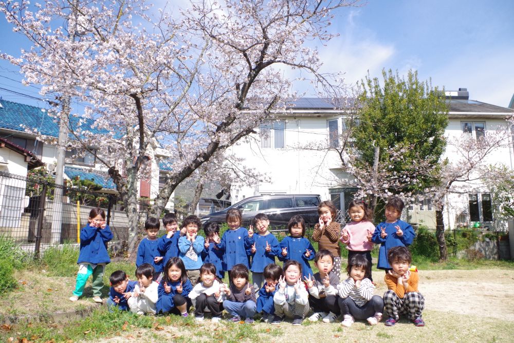 新しい友達も増え、ゾウ組さんのスタートです♫
さっそく、みんなで西則末公園へ行ってきました。
公園が見えてくると、きれいな桜がお出迎え🌸
「きれいだね！」
「桜見たことあるよ～」
と教えてくれた子どもたちです！
