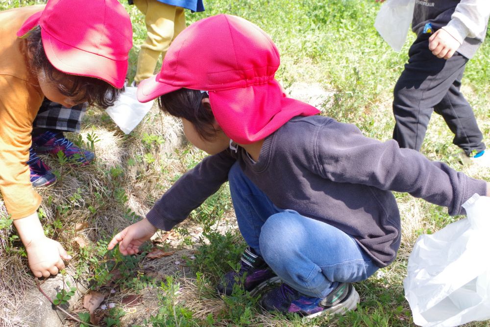 虫探しに夢中のＪくんとＮくん。
「ここにむしおるよ～！」
とテントウムシやダンゴムシを発見✨
暖かくなったので、虫たちもお散歩していました！
「むしがたべるものもいるよね！」
と葉っぱや草も一緒に集めていた子どもたちです☺
