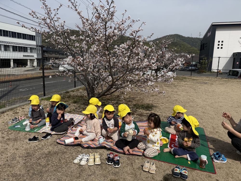 桜の花も咲いていて、
その下でおやつも食べました！